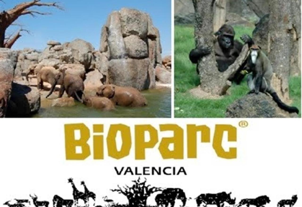 Sun Sea And Culture In Valenciaアパートメント エクステリア 写真
